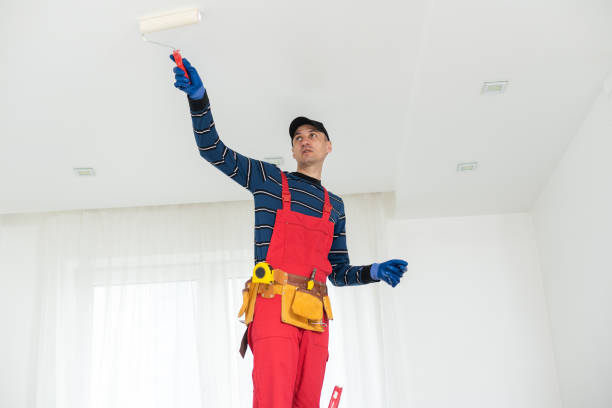 Best Attic Mold Removal  in USA